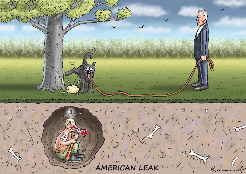 American leak cartoon movement